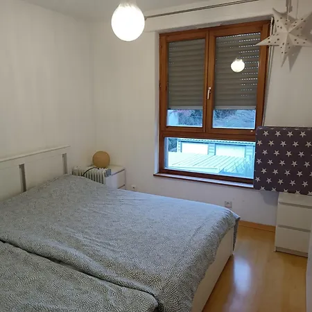 Frontiere Basel Airport Apartment Saint-Louis (Haut-Rhin)